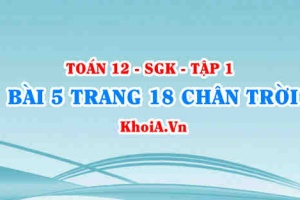 Bài 5 trang 18 Toán 12 Tập 1 Chân trời sáng tạo